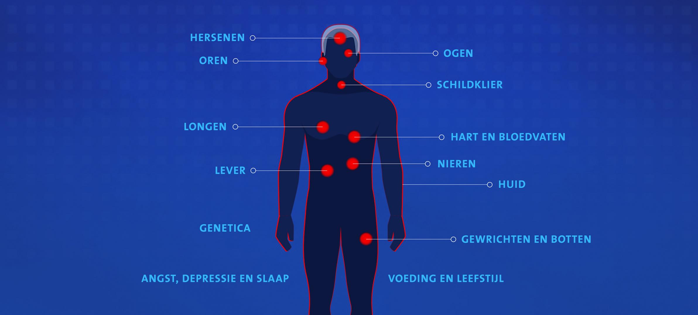 Het menselijk lichaam met alle onderdelen van het onderzoek: hersenen, ogen, oren, schildklier, longen, hart en bloedvaten, nieren, lever, huid, gewrichten en botten, genetica, angst depressie en slaap, voeding en leefstijl.